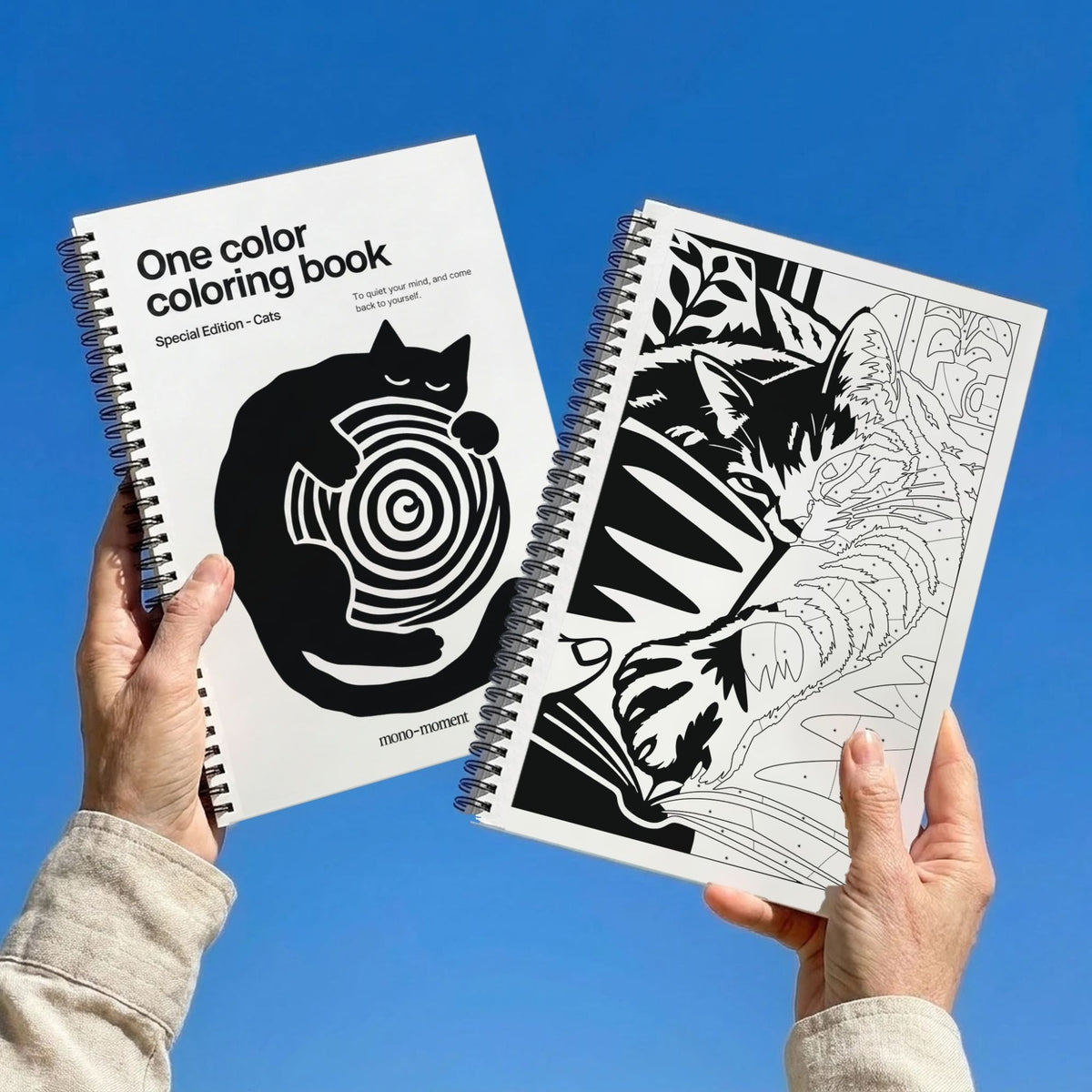 One Color Coloring Book Cats Special Edition held up against a blue sky: the cover and an inside cat page